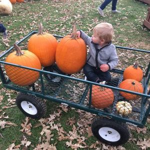 Meet your Posher, Michelle